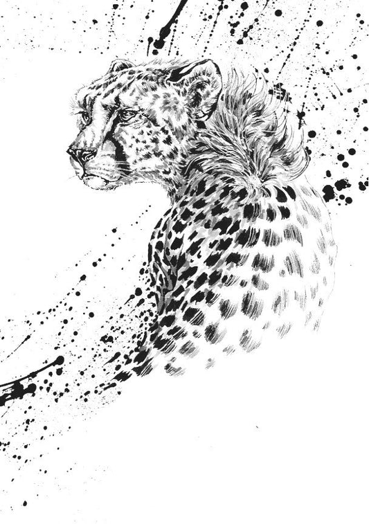 Guépard