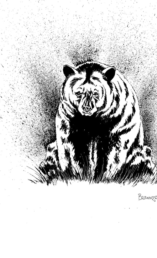 Ours Noir